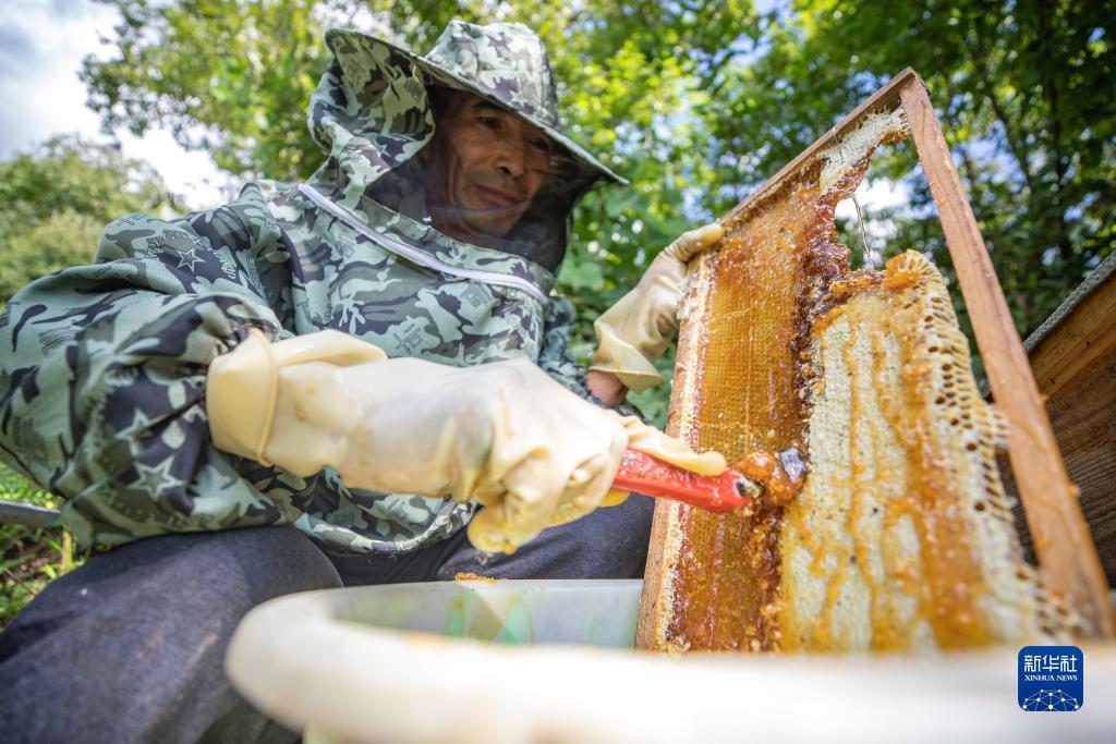 奇亿娱乐注册网址